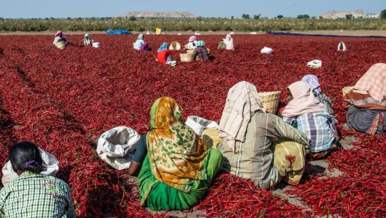Without proper safeguards, extreme heat puts workers at risk, undermining productivity and economic resilience. Photo credit: ADB.