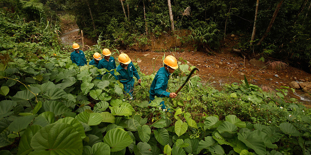 Viet Nam implemented a national payment for forest ecosystem services program starting in 2011. Photo credit: ADB.
