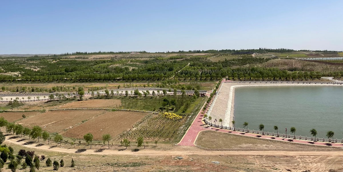 The comprehensive modern agriculture farm at Ma’anshan in Yinchuan. Photo credit: Niu Zhiming. 