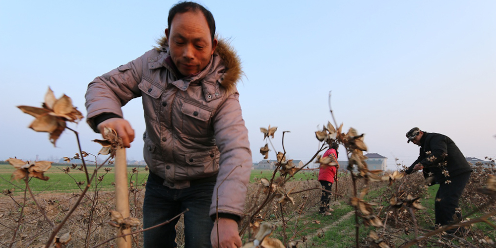In the People's Republic of China, an eco-compensation scheme helped boost farmers' income while protecting the environment. Photo credit: ADB.
