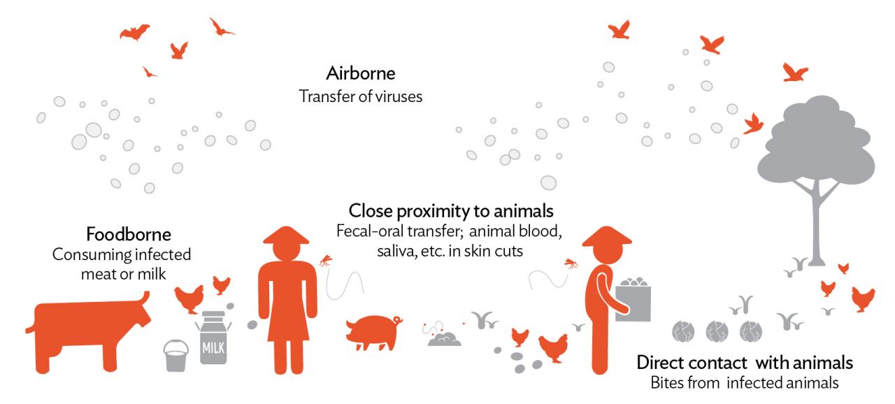 What Asia Can Do to Protect against AnimalBorne Diseases Development