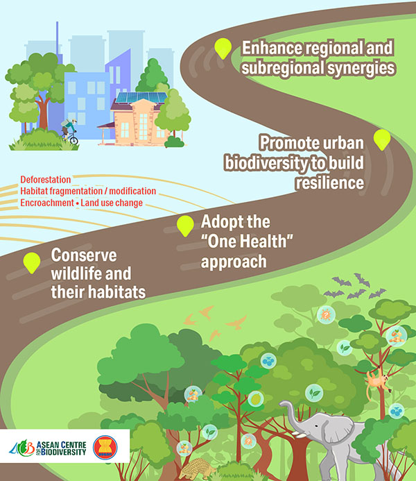 A Healthy Biodiversity Keeps Disease Outbreaks at Bay | Development Asia