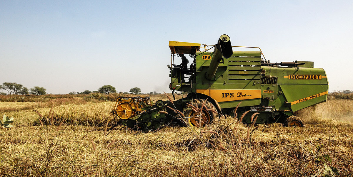 Sri Lanka's organic farming disaster, explained - Vox