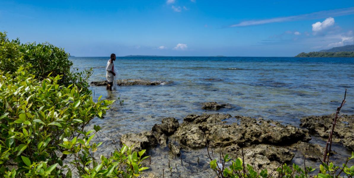 Managing the Perfect Storm: How Healthy Ecosystems Increase