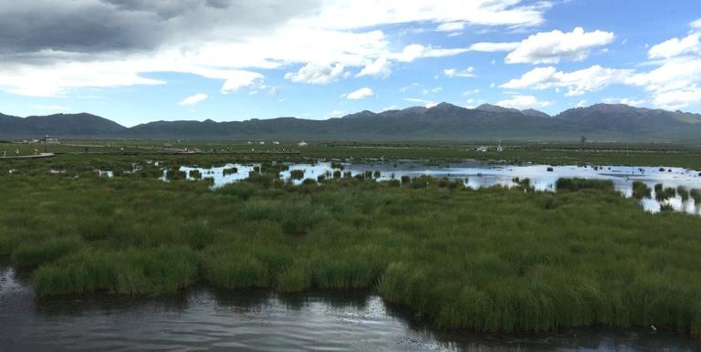 To mitigate carbon emissions from wetland degradation, the People’s Republic of China has promoted restoration and rehabilitation in critical wetlands. Photo credit: Caifu Tang.