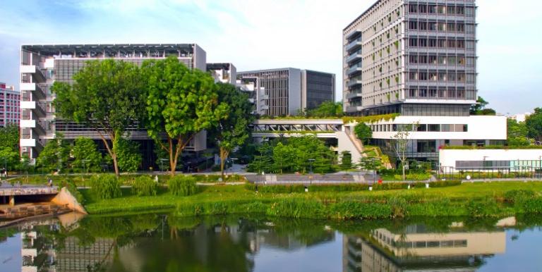 Instead of building a typical public hospital, the Alexandra Health System naturalised an adjacent stormwater collection pond and commissioned a barrier-free, biophilic building to create a waterfront, inclusive, healing space popular with patients and nearby residents alike. Photo credit: Khoo Teck Puat Hospital.