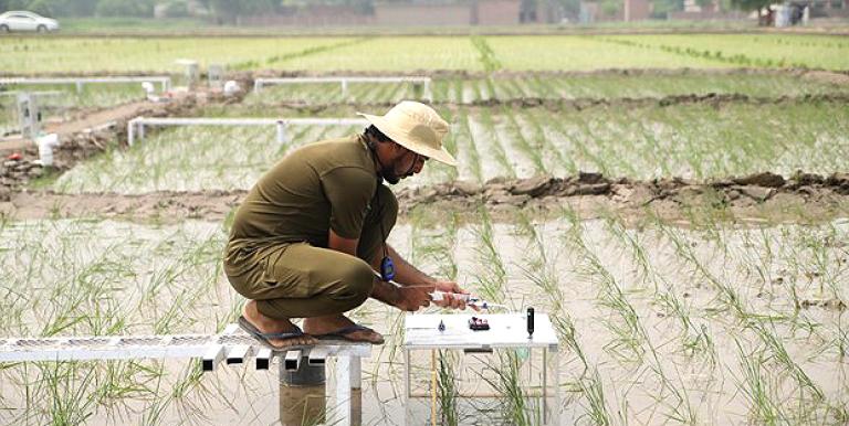 Greenhouse gas measurements were conducted at the Okara research station of Punjab Agriculture Department’s On Farm Water Management Wing. Photo credit: ADB.