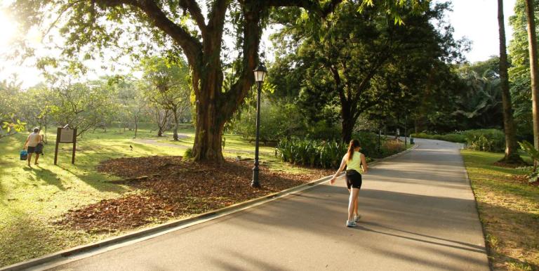 Nature-based solutions for cooling include various methods to lower urban temperatures, such as street trees, urban parks, green roofs, and wetlands. Photo credit: ADB. 