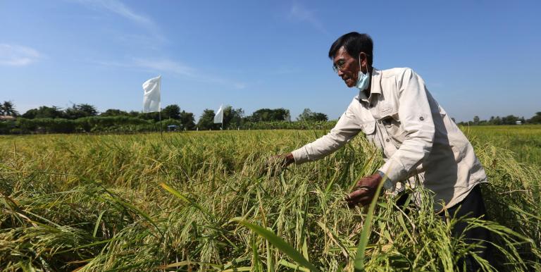 Agritech can aid poverty reduction in Cambodia, as many of the poor are engaged in the rural sector. Photo credit: ADB.