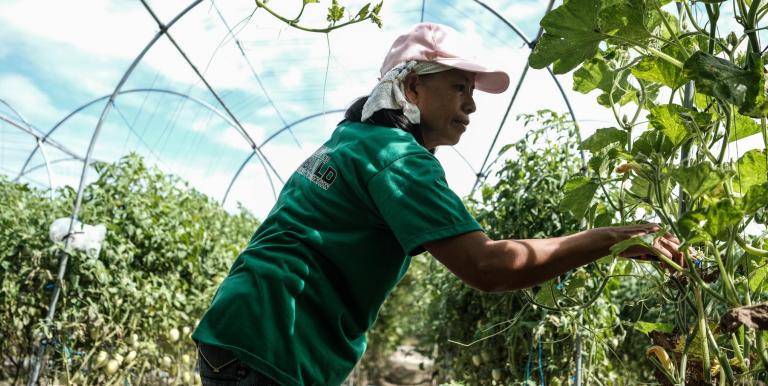 Contractions in the agriculture industry highlight the need for adaptive strategies for the future. Photo credit: ADB.