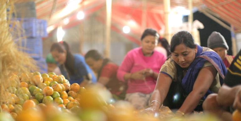 Current output of Bhutan’s high-value crops is too low and irregular to ensure dependable supplies for global buyers. Photo credit: ADB. 