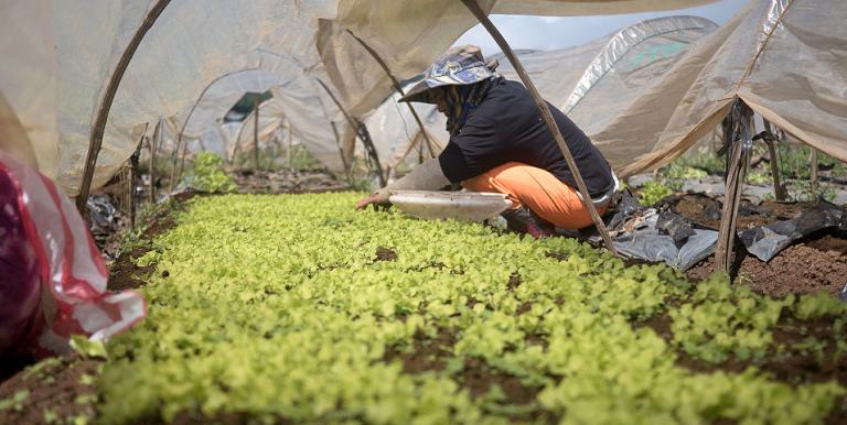 Small grants to local communities can spark innovations that strengthen livelihoods and lay the groundwork for scaling up successful initiatives. Photo credit: ADB. 