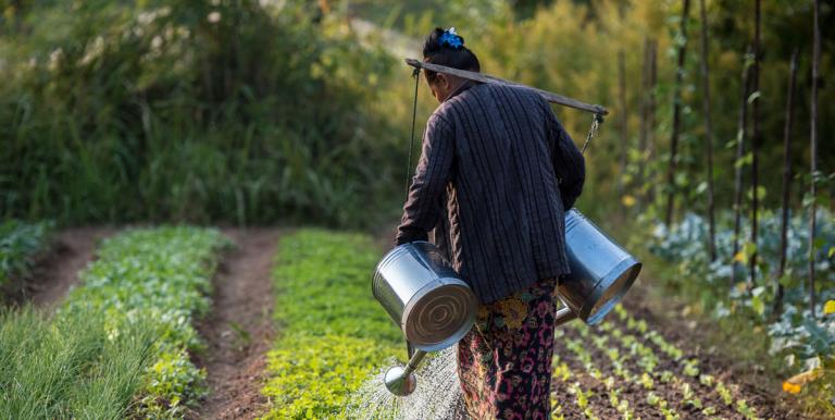 Sustainable farming practices maintain soil fertility. Photo credit: ADB