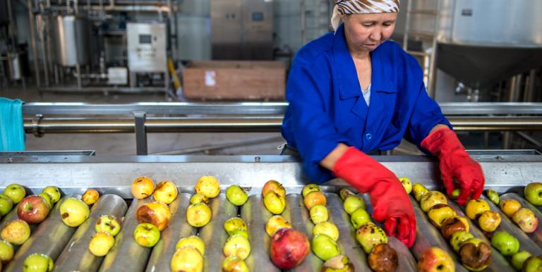 A factory worker in Almaty checks apples for quality. Photo credit: ADB.