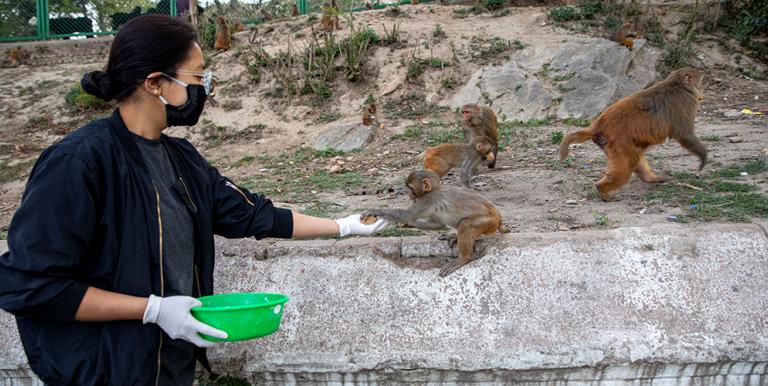 The One Health initiative is gaining momentum to address complex health and development challenges. Photo credit: ADB.