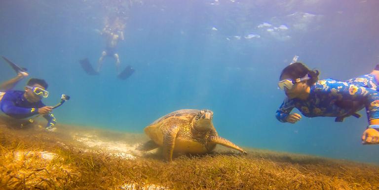 Oceans play a vital role in livelihoods and growth across Asia and the Pacific, making their protection critical. Photo credit: ADB.