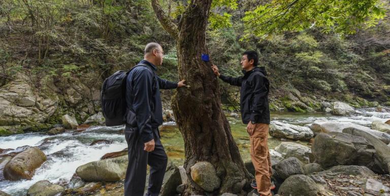 Quantifying the value of natural capital and ecosystem services is essential for governments to make more informed decisions. Photo credit: ADB. 