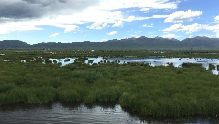 To mitigate carbon emissions from wetland degradation, the People’s Republic of China has promoted restoration and rehabilitation in critical wetlands. Photo credit: Caifu Tang.