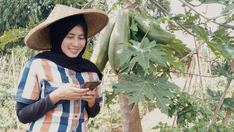 Anni Mariah, a smallholder farmer from Sukabumi, West Java, uses the Nilaiku mobile app to access information and connect with buyers. Photo credit: ADB.