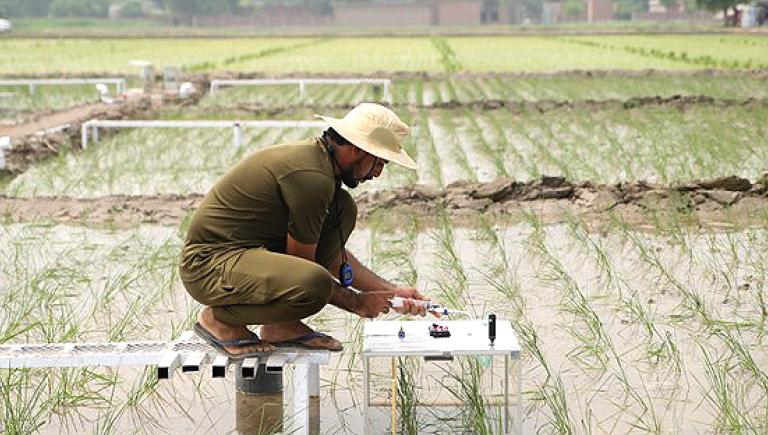 Greenhouse gas measurements were conducted at the Okara research station of Punjab Agriculture Department’s On Farm Water Management Wing. Photo credit: ADB.