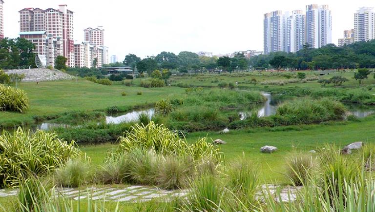 As an ecosystem-based adaptation measure, an old concrete canal is transformed into a natural three-kilometer river, which now merges seamlessly with the park’s greenery. Photo credit: Deltares.