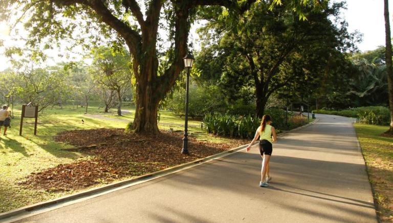 Nature-based solutions for cooling include various methods to lower urban temperatures, such as street trees, urban parks, green roofs, and wetlands. Photo credit: ADB. 