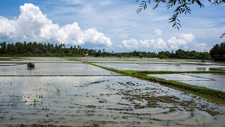 With bathymetric LIDAR technology, Indonesian agencies can pinpoint infrastructure that needs upgrading to improve irrigation potential and yield. Photo credit: ADB.