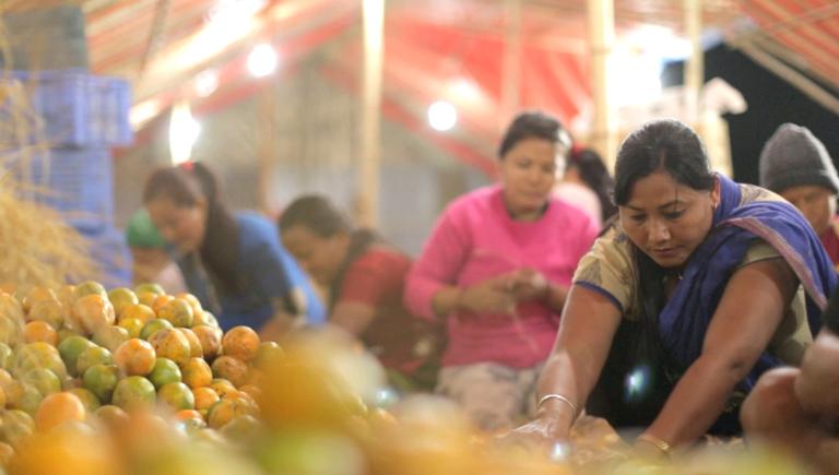 Current output of Bhutan’s high-value crops is too low and irregular to ensure dependable supplies for global buyers. Photo credit: ADB. 