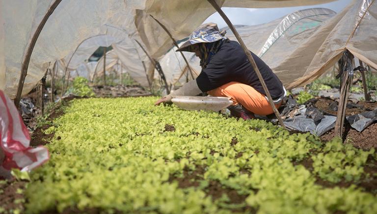 Small grants to local communities can spark innovations that strengthen livelihoods and lay the groundwork for scaling up successful initiatives. Photo credit: ADB. 