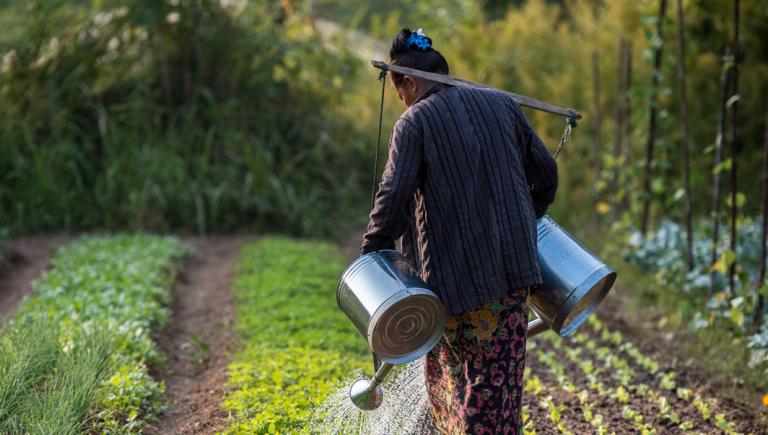 Sustainable farming practices maintain soil fertility. Photo credit: ADB