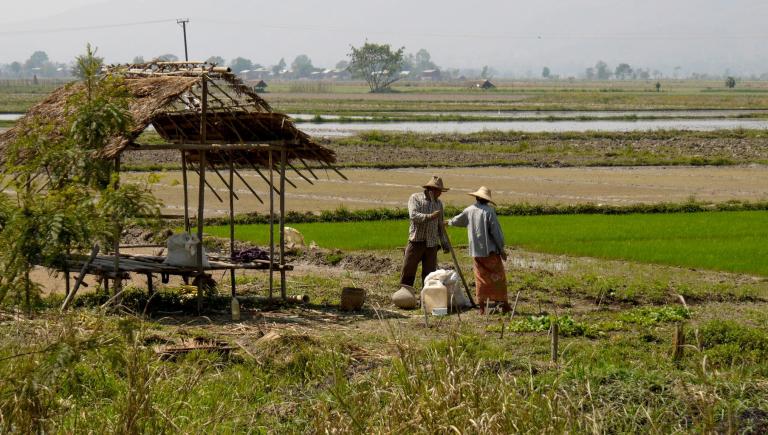 Rising input costs, driven by currency depreciation, along with security concerns and logistics disruptions, can lead to low farm production. Photo credit: ADB. 