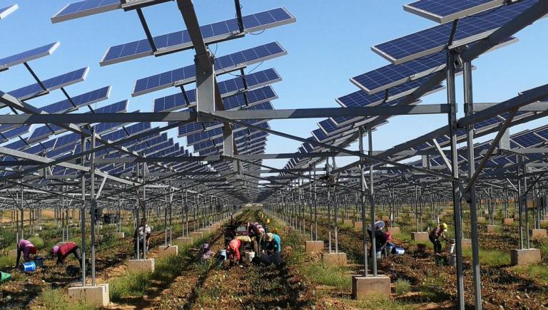 Conservation initiatives by the government and the private sector, such as the photovoltaic desertification control project, helped successfully restore one-third of the Kubuqi Desert. Photo credit: Elion Group.